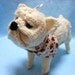 English Bulldog Hand Knitted in Cream Color Wool Yarn, Canine, Stuffed Animal