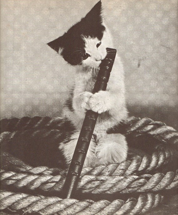 The Flute Playing Cat. Vintage Cat Art Print. Shabby Chic