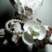 Seashell Wrist Corsage - Seaflower Seashell Pearl Wrist Corsage Beach Bracelet