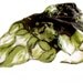 Nuno felt scarf silk chiffon wool black white green autumn fashion scarf