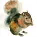 SQUIRREL Original watercolor painting 8x10inch (vertical orientation)