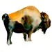 BISON by DIMDI Original watercolor painting 10x8inch