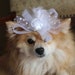 Cute white color wedding hat for dog or cat