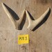 HEADDRESS Ready Set of Small Deer Antlers- Forked Horns Lot No. K83