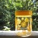 Vintage Yellow Flower Corning Glass Canister