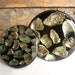 Vintage 1969 Pair of Abalone Shell Trivet set in Black
