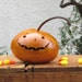 Halloween Gourd Jack O Lantern Natural Fall Harvest Pumpkin Centerpiece Decoration