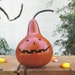 Halloween Gourd Jack O Lantern Natural Fall Harvest Spooky Centerpiece Decoration
