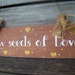Sow Seeds of Love Handpainted Wooden Sign