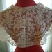 Antique collar of embroidered net caplet
