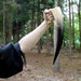 Large Drinking Horn with Handle