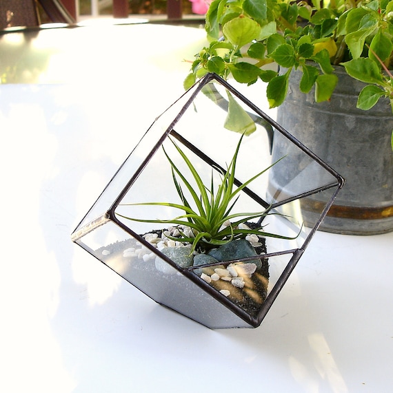 Terrarium Cube Square Air Plant Terrarium by JechoryGlassDesigns