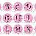 ALPHABET PiNk LEOPARD PRINT Digital Bottle Cap Image Sheet