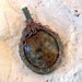 Teal and Copper Wrapped Chrysocolla Cabochon Pendant And Necklace