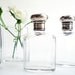 Perfume Bottles Antique Vanity Set Sterling Silver Lids