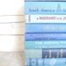 Blue Books Instant Library Collection Decorative Vintage Book Bundle Photography Props Shades of Blue