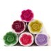 Polymer clay canes, set of 6 Polymer Clay ROSE canes