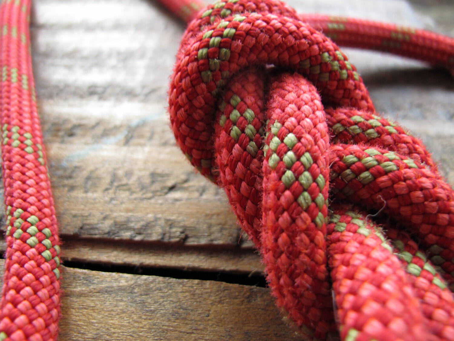 Recycled Climbing Rope & Carabiner Dog Leash Red