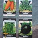 Lot of 4 Antique vintage 1920s Card Seed Co. seed packets Fredonia, NY Spinach Peas Carrots Radish
