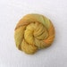 Hand Dyed Sock Yarn 100g - MCN High Twist - Turning Leaves 1