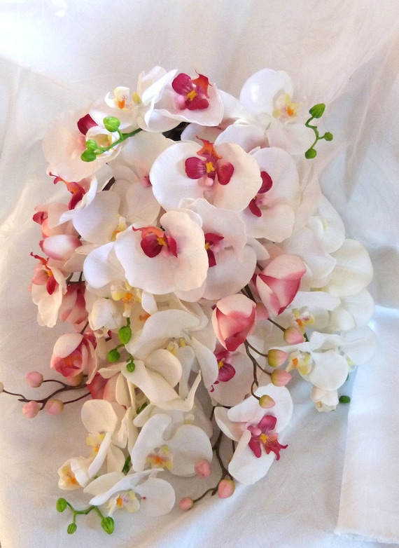 Cascade Orchid Bouquet phalaenopsis orchid bouquet tropical