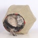 Cat Ball Unique Modern Decor Kitty Pet Furniture Bed in Sage