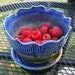Berry Bowl with Saucer / Serving Bowl / Blue Handmade Pottery / Lotus Rim and Fluted