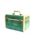 Vintage Train Case Green Tan Shwayder Mid century Luggage