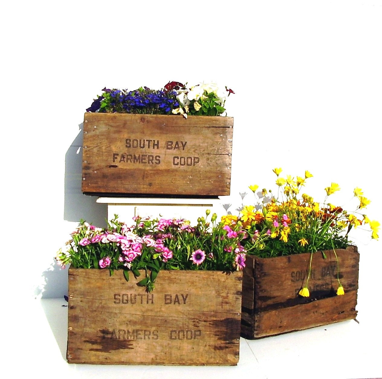 Vintage Wooden Crate Rustic Flower Planter Box 1960s