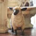lefton sheep