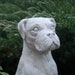 cement boxer dog statue