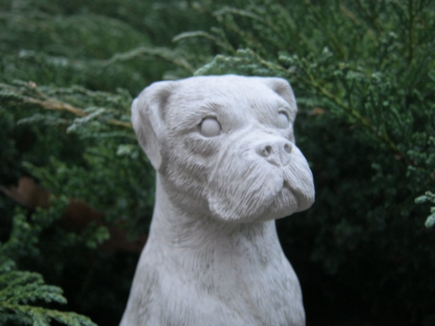 Boxer dog Concrete statues Statues of boxer dogs Boxer dog