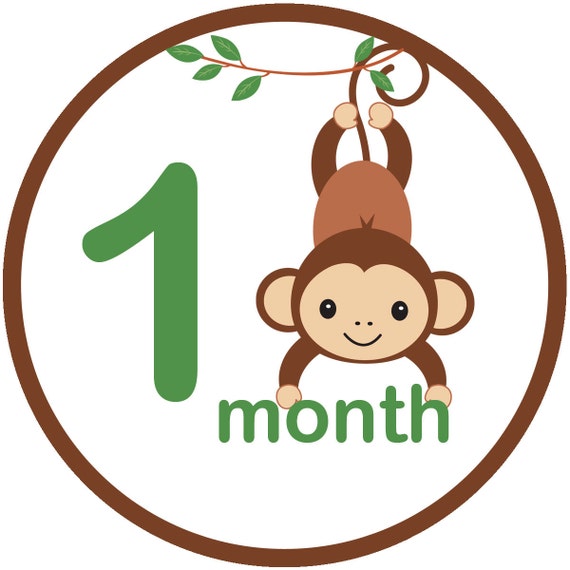 Monkey monthly iron on sticker decal transfer baby by ABabyNotion