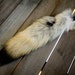 Alaskan Coyote Tail ( Wolf Lookalike ) with Leather Attachment