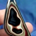 Solid Detroit Agate / Fordite Cabochon (suzybones)