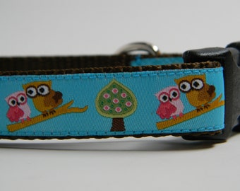 Teal Blue Owl Dog Collar- What a Hoot