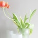 Recycled Wine Bottle Vase or Planter - Size Large