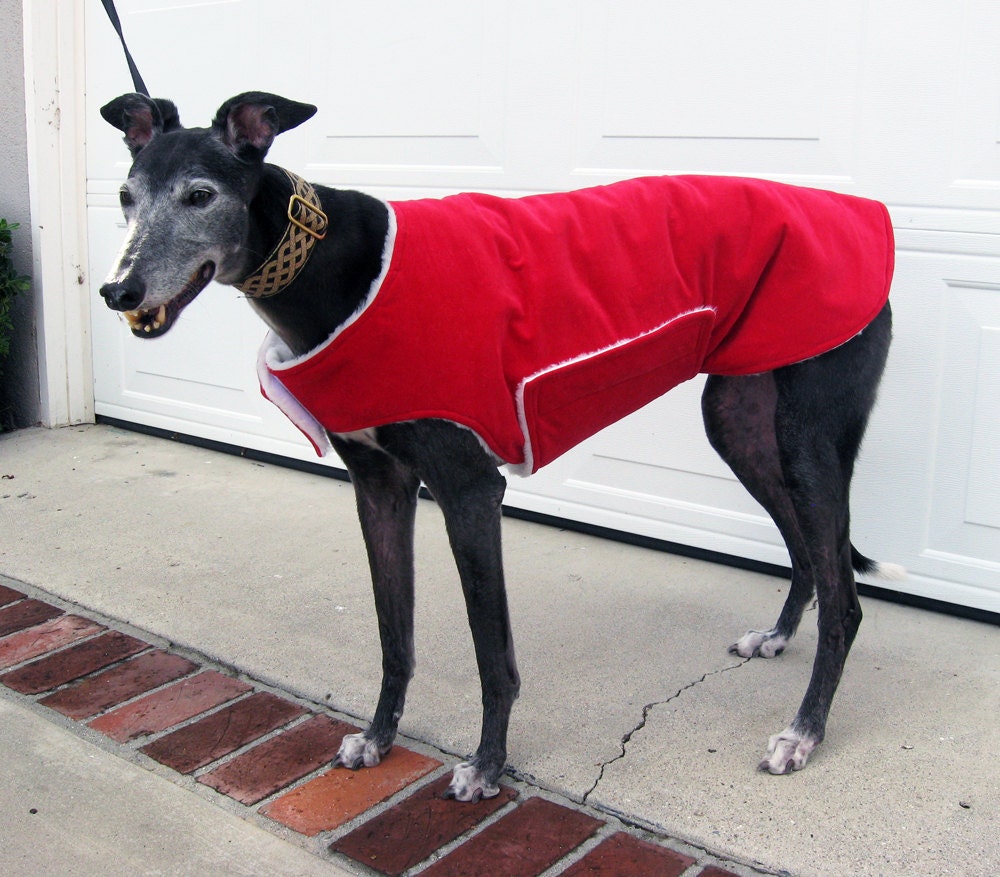 Greyhound Santa Dog Coat XL Dog Coat Red Velveteen with