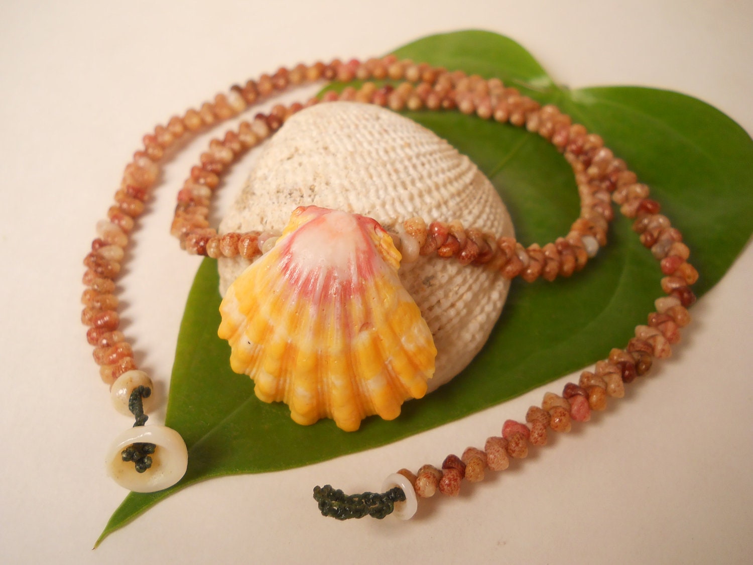 Hawaiian Sunrise Shell Necklace Large Sunrise Shell with