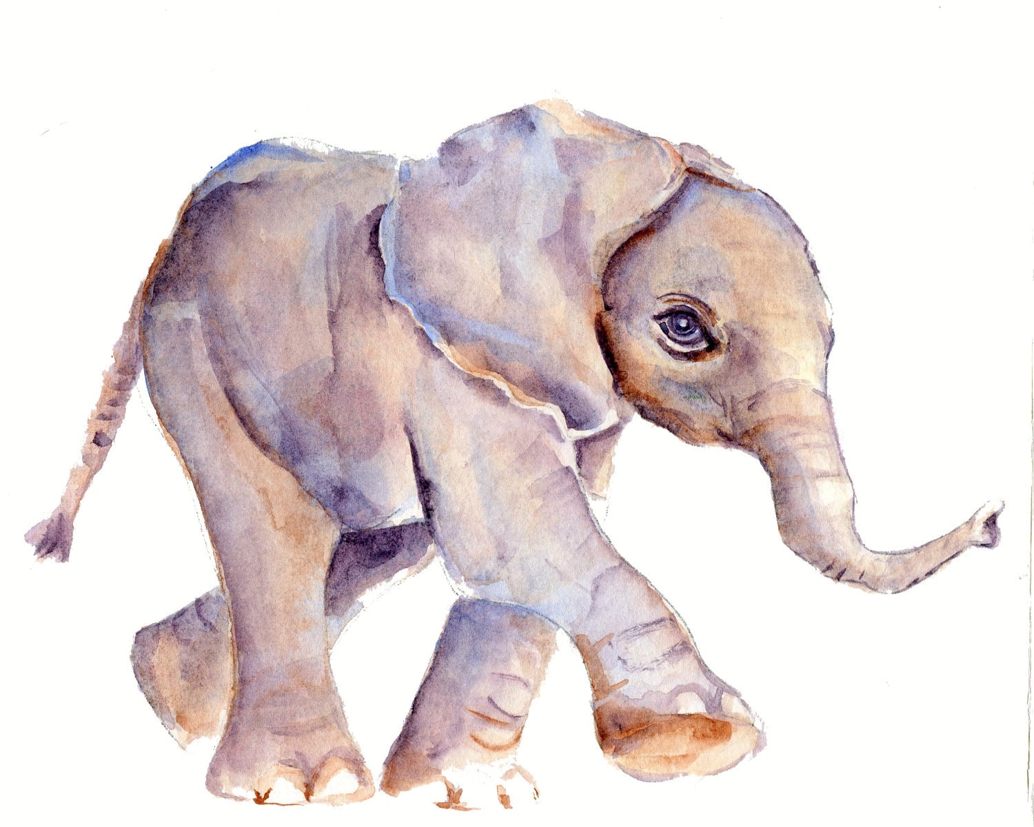 Baby Elephant print from original watercolor