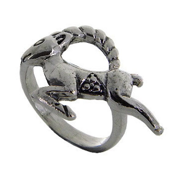 Zodiac Sign Sterling Silver Ring, Capricorn Ring, Birth Ring for Dec ...