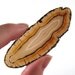 Natural Rough Edged Agate Slice ETAg004
