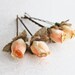 Peach and Gold Flower Hair Pins. Flower Hair Pin. Whimsical. Weddings. Bridesmaids. Rustic Wedding. Hair Accessories. Fall. Autumn Wedding.