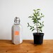 vintage french aluminum water bottle for camping, hiking or biking trips