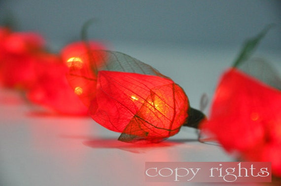 Items similar to 35 Red Roses Flower String Lights Party, Patio on Etsy