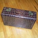 Vintage Alligator Suitcase Small Overnight Size by Town of Lake Chicago