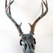 Bronze Aged Natural Turquoise Patina Deer Skull Art Sculpture