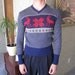 1940s/50s Blue and Red Vintage Ski Sweater