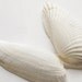 Craft Seashells, 5 Pair Angel White Wing Sea Shells, Beach Wedding Supplies, DIY Coastal Cottage Tropical Decor