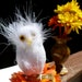 White Feather Owl Satin Wrapped Pen (One Pen)